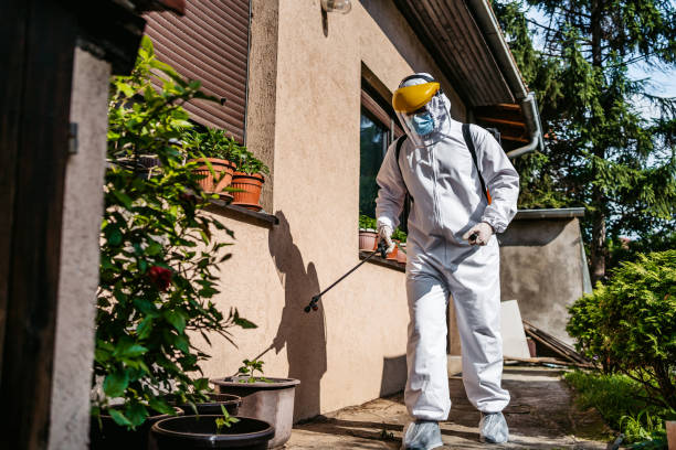 Flea Control Services in Joseph City, AZ