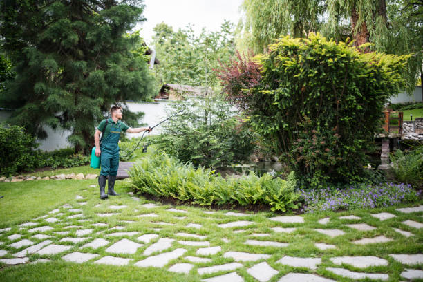 Best Pest Control Cost  in Joseph City, AZ