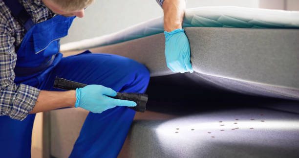 Trusted Joseph City, AZ Pest Control Experts